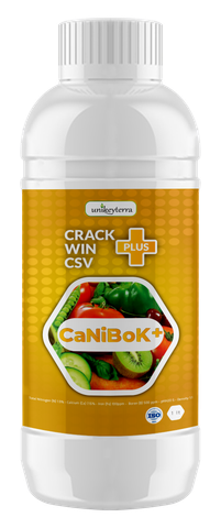 CRACK WIN PLUS