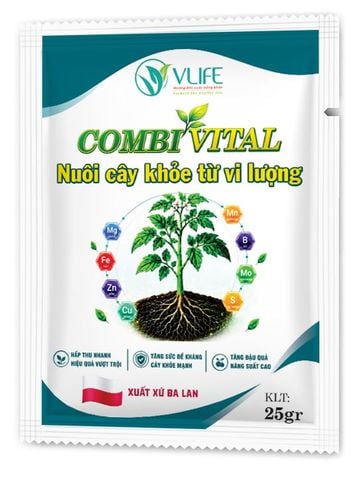 COMBI VITAL