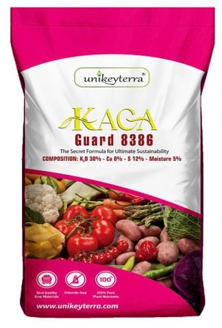 KACA 8386