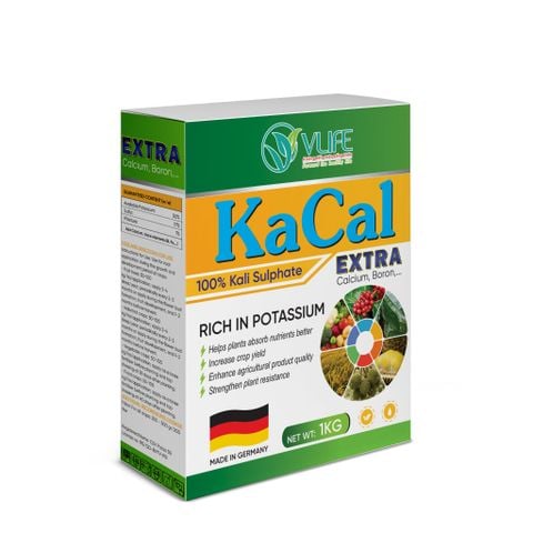 KACAL-CSV