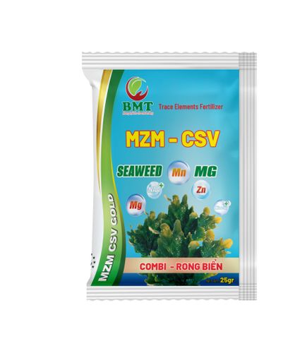 MZM-CSV