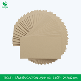  TBCL31 - Combo 10 Tấm Bìa Carton Lạnh - A3 - 3 Lớp - 29.7x42 cm 