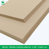  TBCL32 - Combo 10 Tấm Bìa Carton Lạnh - A4 - 3 Lớp - 21x29.7 cm 