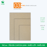  TBCLxx - Combo 10 Tấm Bìa Carton Lạnh - Nhiều size - Nhiều lớp 