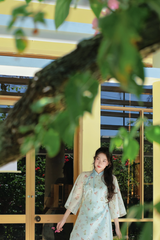 Áo dài dáng suôn An Phương - Vườn xanh