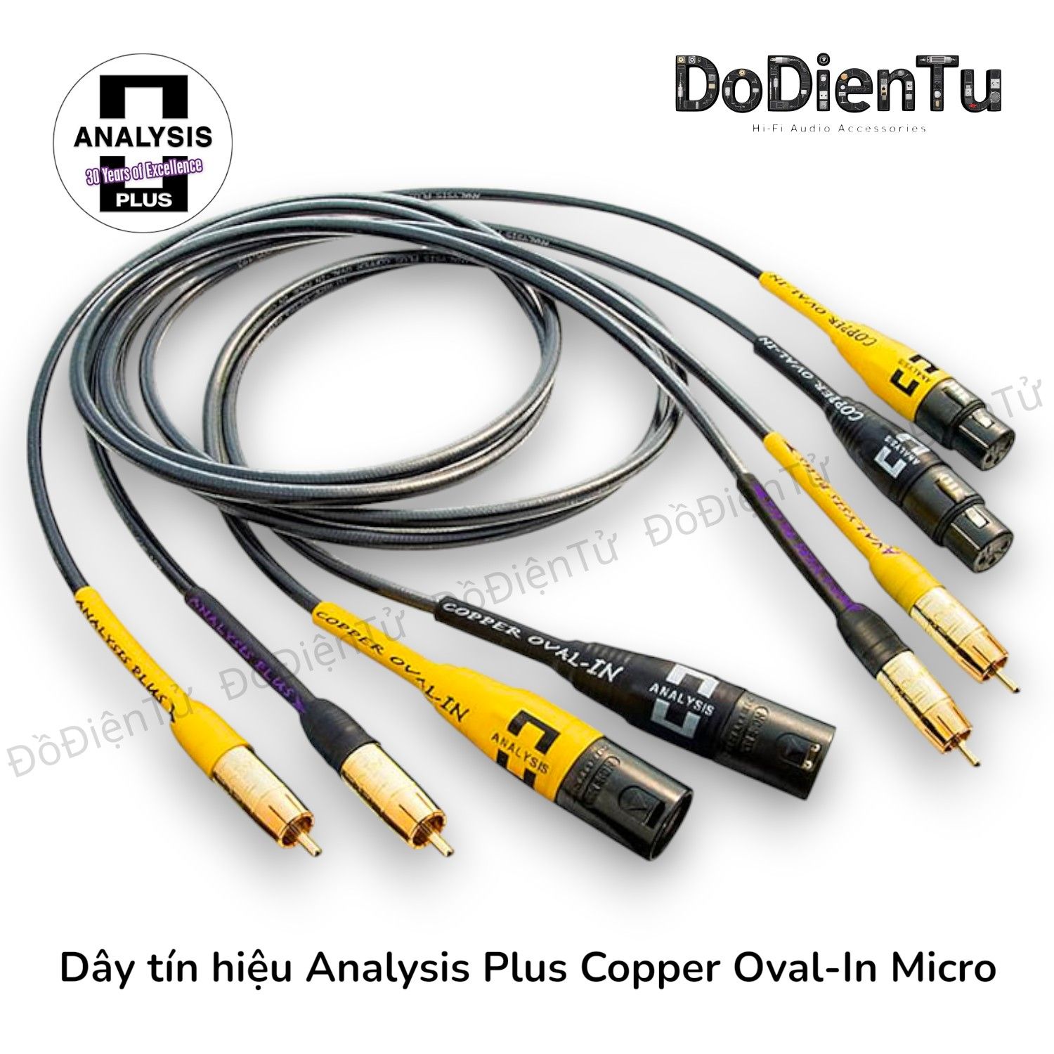 Dây tín hiệu Analysis Plus Copper Oval  - XLR Balanced
