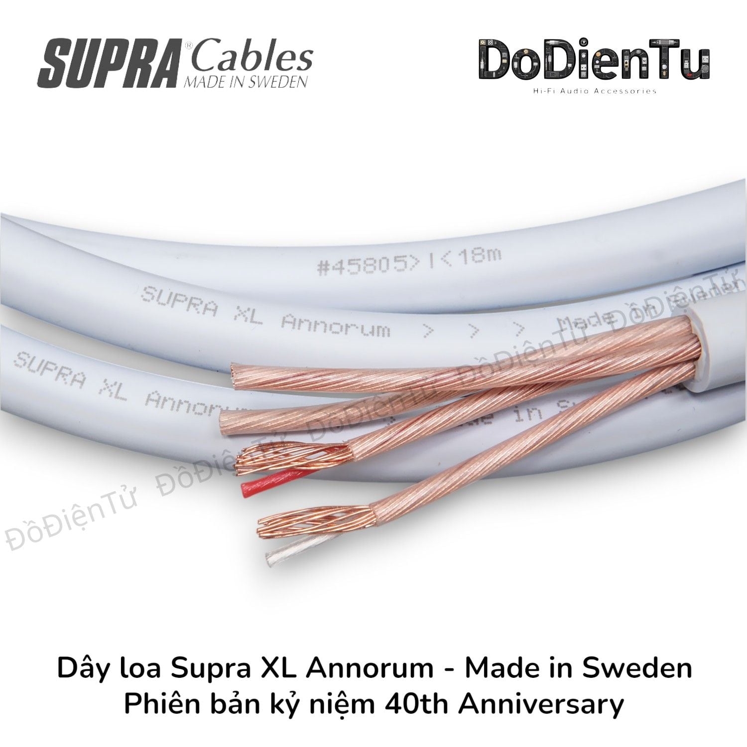 Dây loa Supra XL Annorum - 40th Anniversary