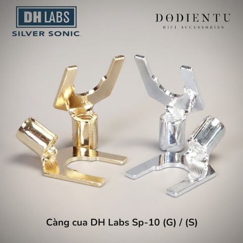 cang-cua-dh-labs-sp-10-gold-silver