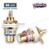Cọc RCA DH Labs CM-R1 | Rca Socket