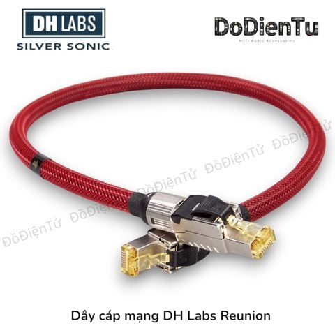 dh-labs-ethernet-cat-8-reunion-diy