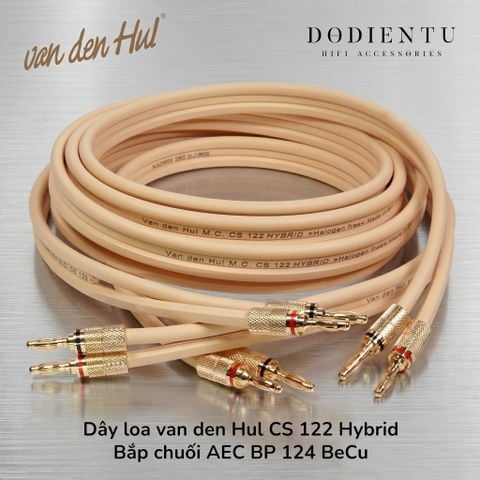 day-loa-van-den-hul-cs-122-hybrid
