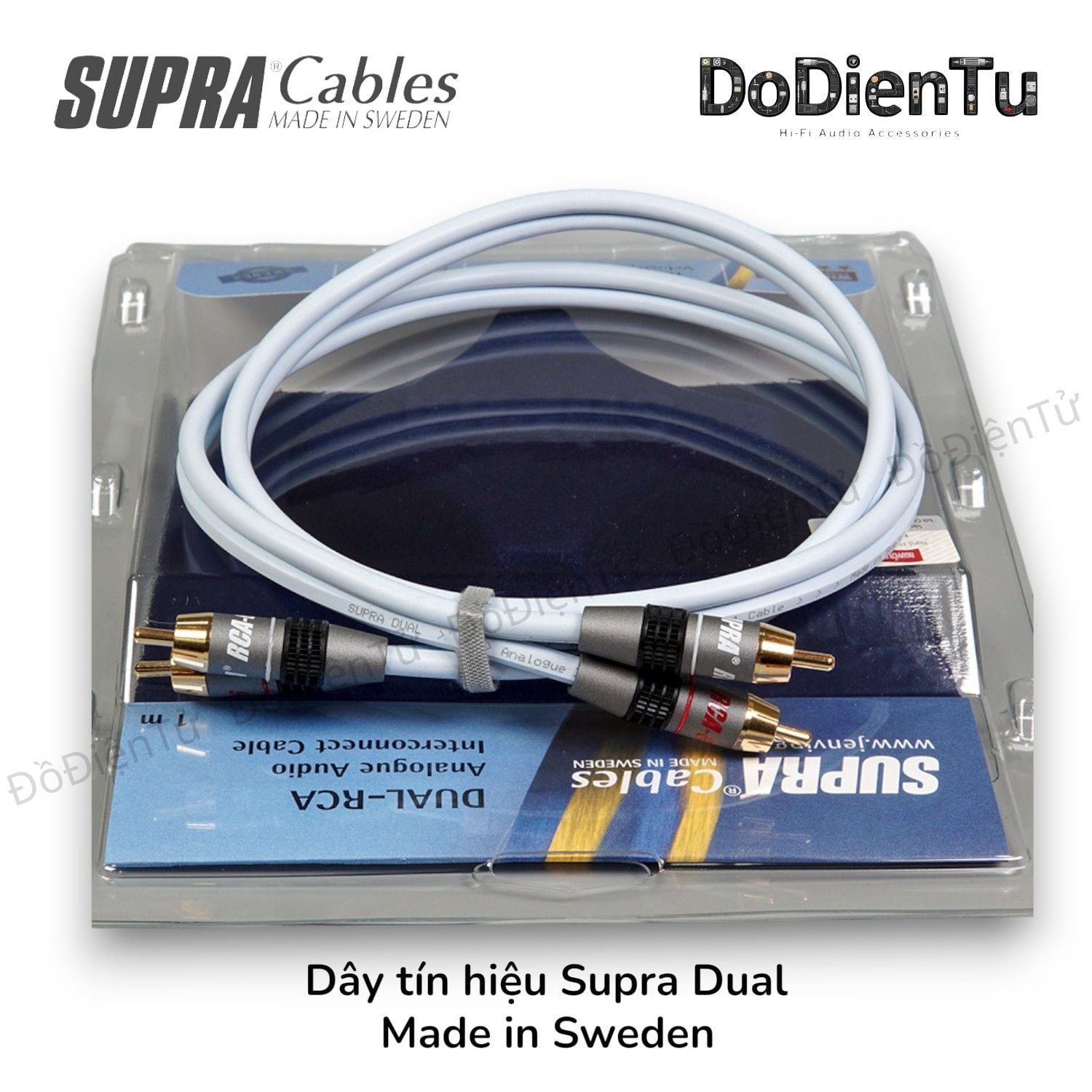 Supra Dual RCA