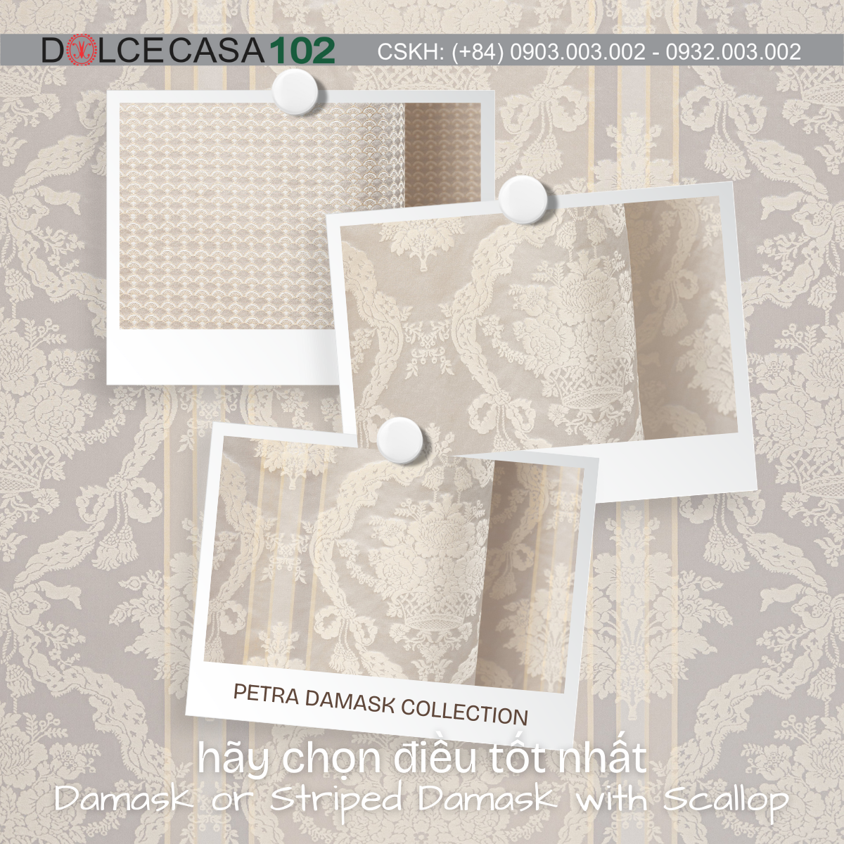  Palazzo Petra Damask màu trắng ngà 