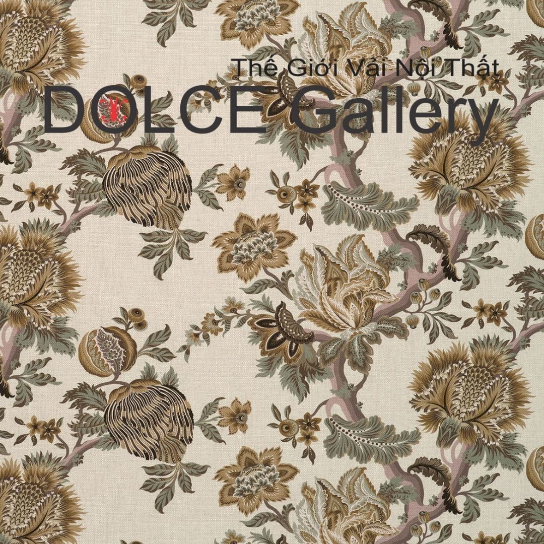  DOLCE DESIGNED TO ELEVATE 2026 