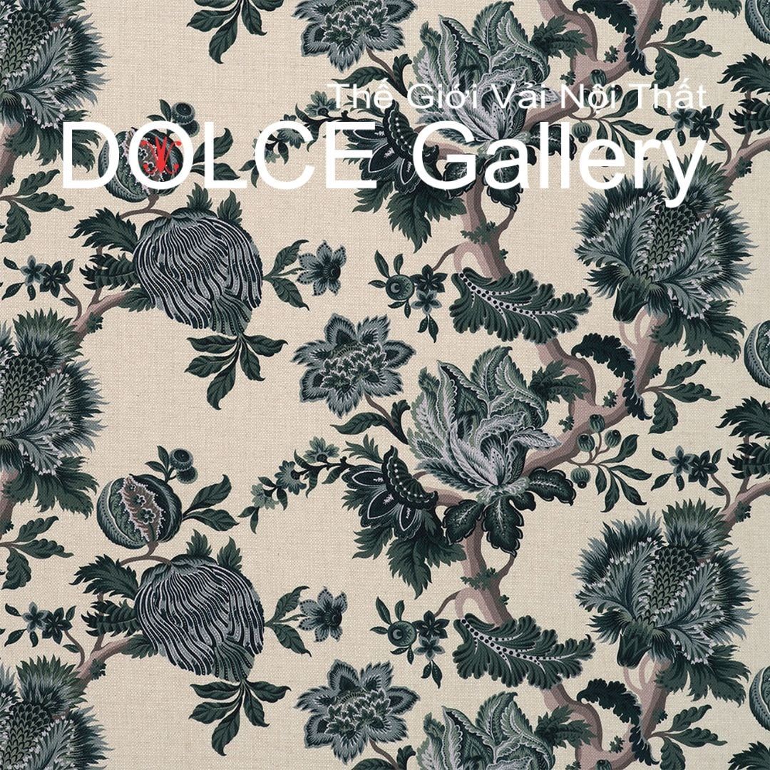  DOLCE DESIGNED TO ELEVATE 2026 