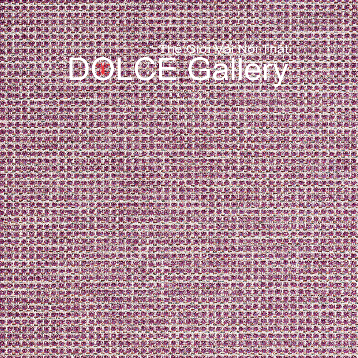  DOLCE CABBAGECORE 2026 