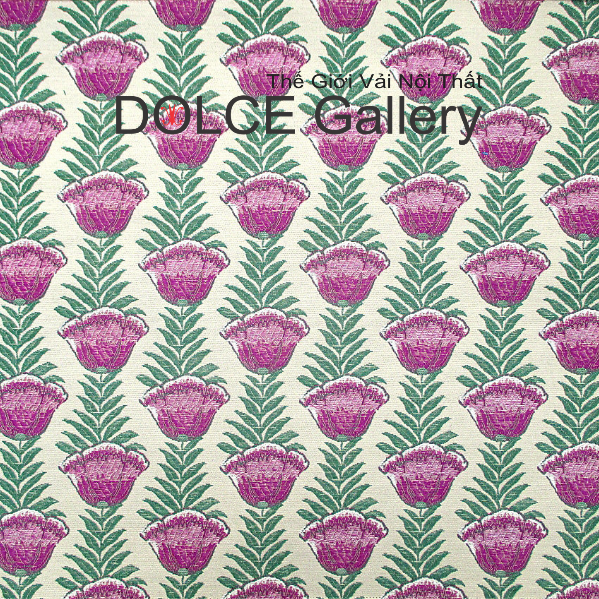  DOLCE CABBAGECORE 2026 