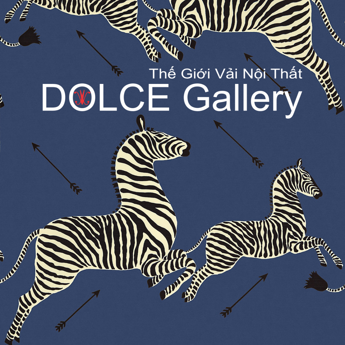  DOLCE ZEBRAS OUTDOOR 2026 