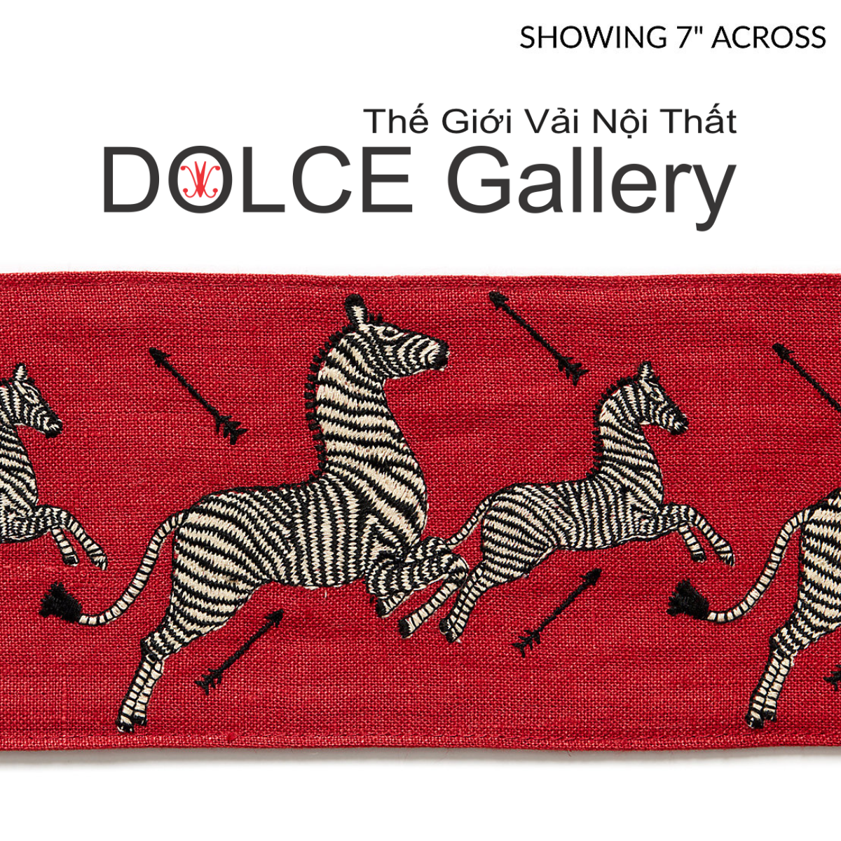  DOLCE ZEBRAS OUTDOOR 2026 