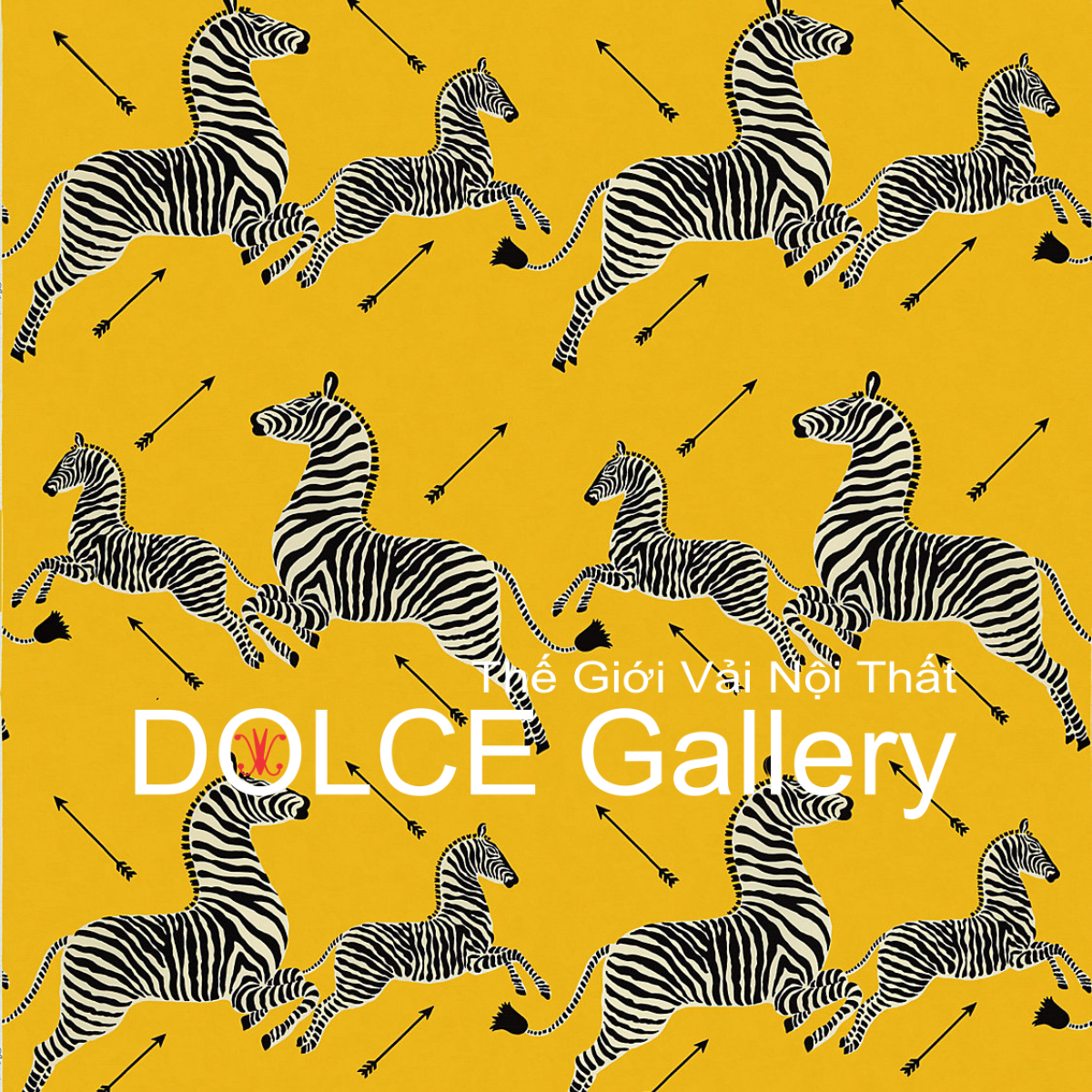  DOLCE ZEBRAS OUTDOOR 2026 