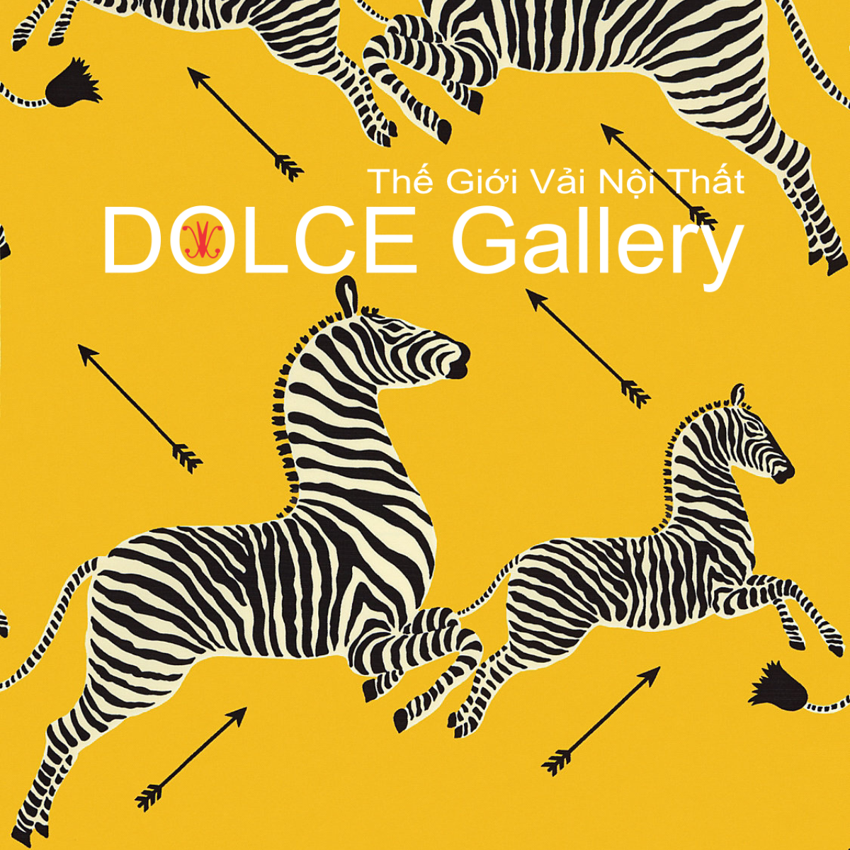  DOLCE ZEBRAS OUTDOOR 2026 