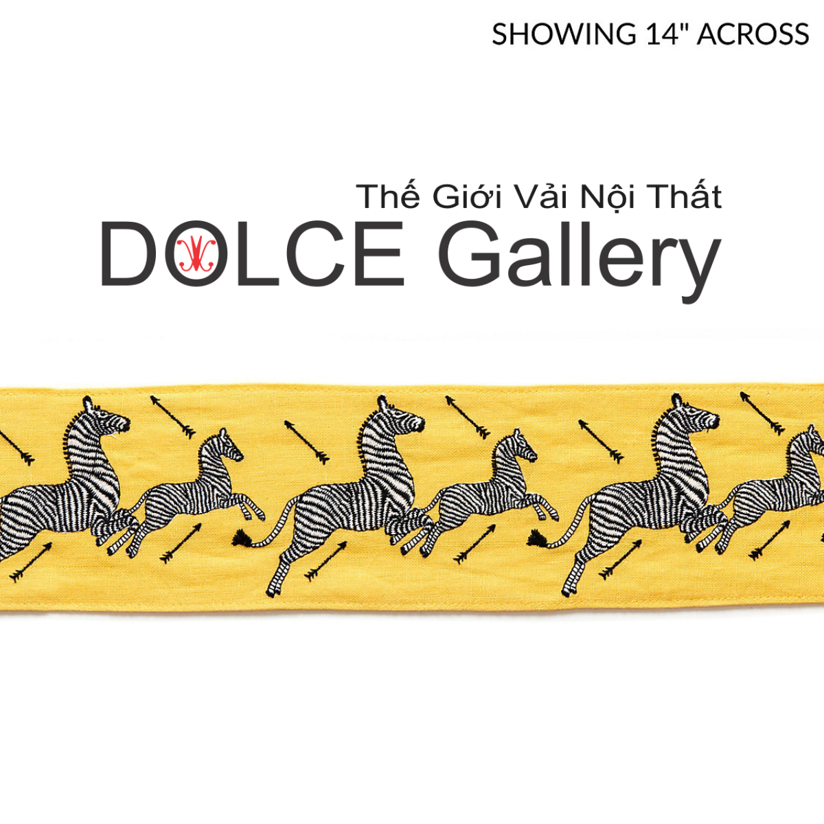  DOLCE ZEBRAS OUTDOOR 2026 