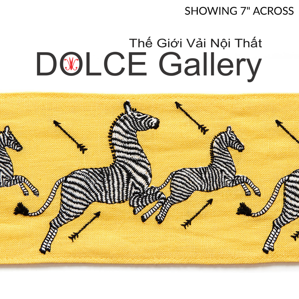  DOLCE ZEBRAS OUTDOOR 2026 