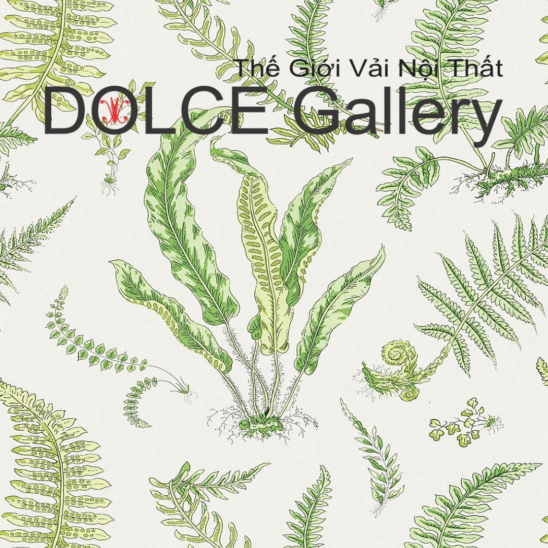  DOLCE ELSIE DE WOLFE vải màn rèm cửa Ẫn Độ 2026 