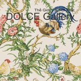  DOLCE CHANTICLEER vải màn rèm cửa Mỹ 2026 