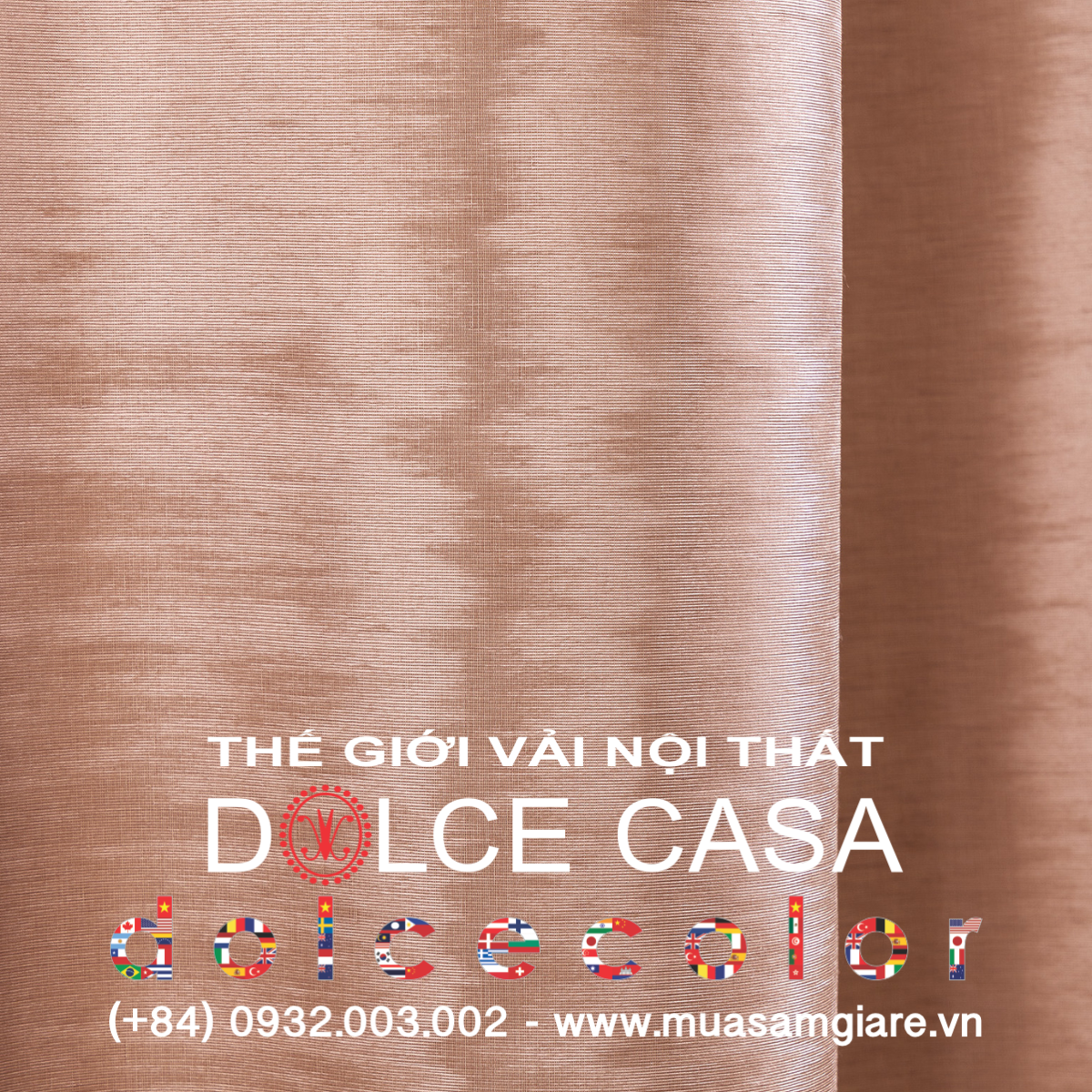  PALAZZO CIPRIA ANTICA 