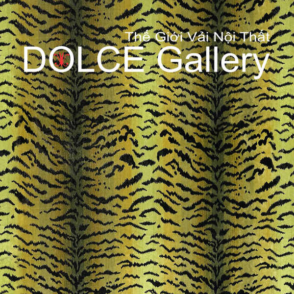  DOLCE TIGRE 2026 