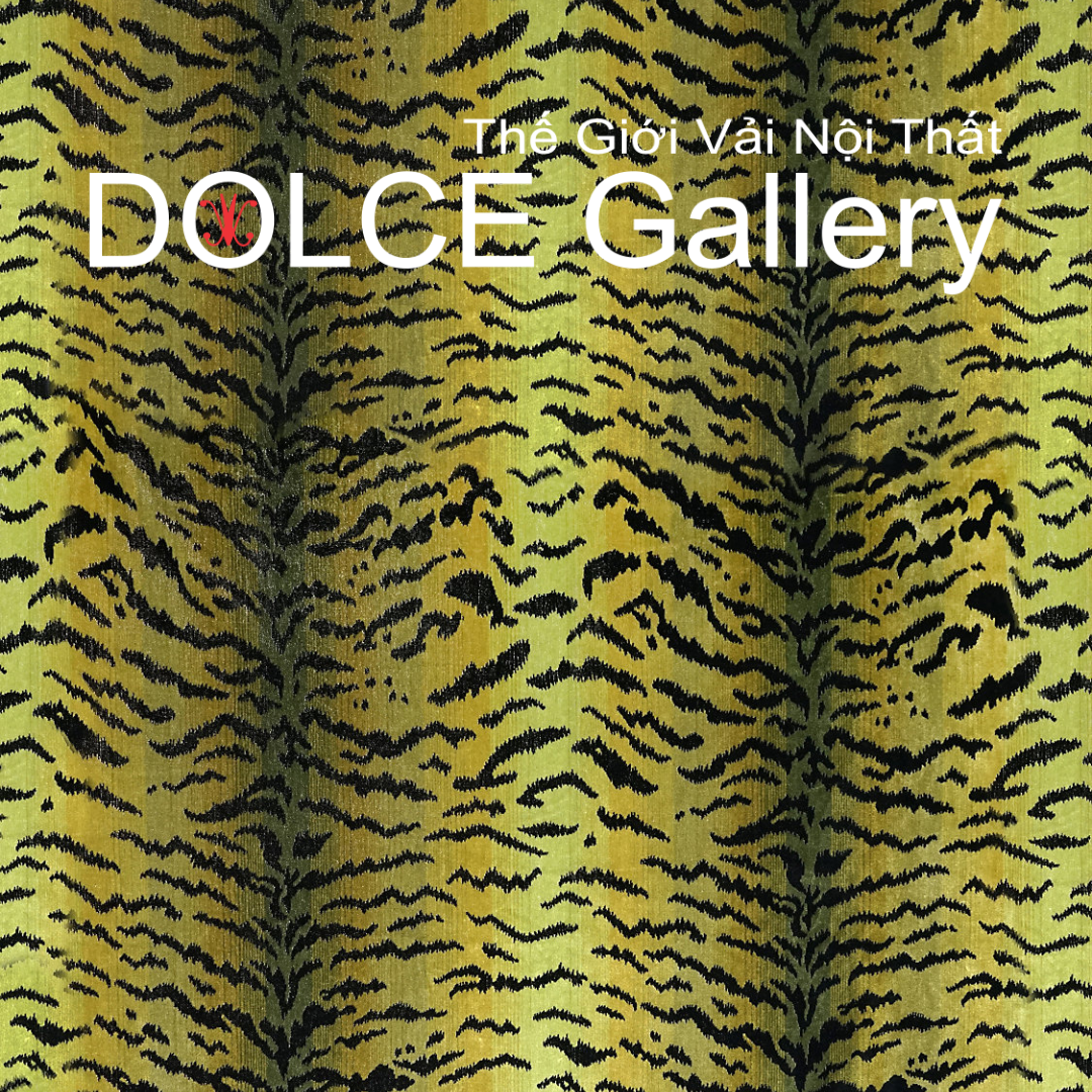  DOLCE TIGRE 2026 