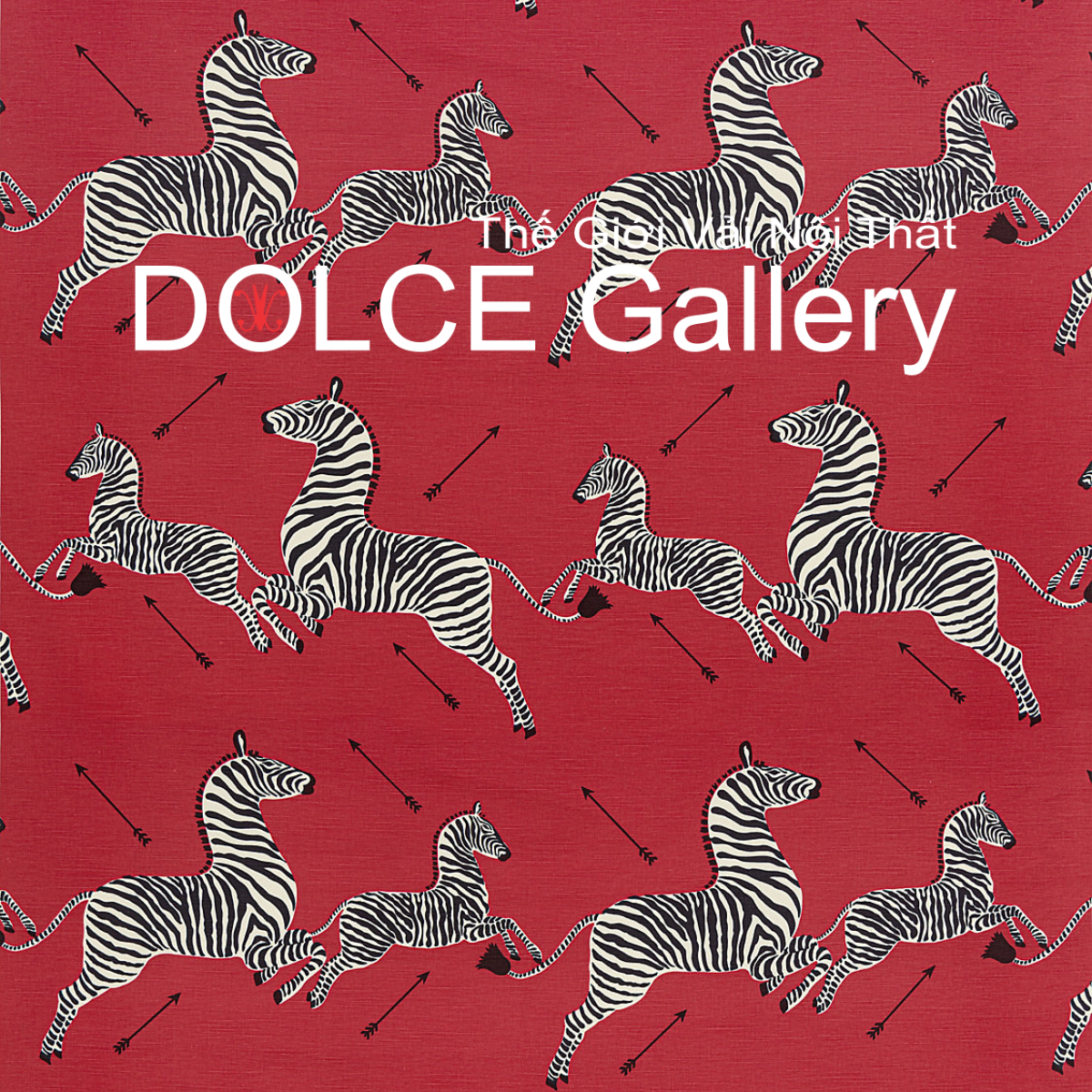  DOLCE ZEBRAS OUTDOOR 2026 