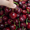 Cherry đỏ Mỹ size 9 tại Farmers Market