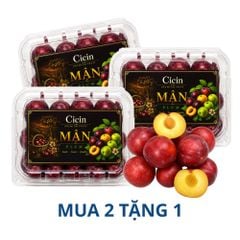 [Mua 2 tặng 1] Mận đỏ ruột vàng nội địa Trung 500 g (I0027312)
