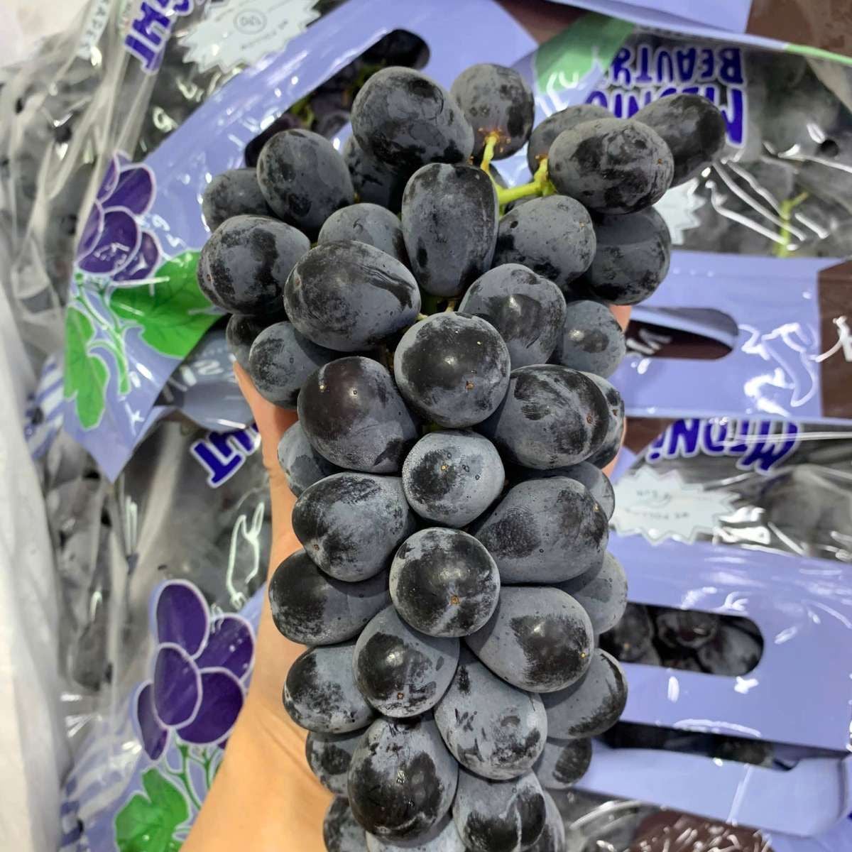  Nho đen Midnight Beauty Mỹ - 500G (I0004723) 
