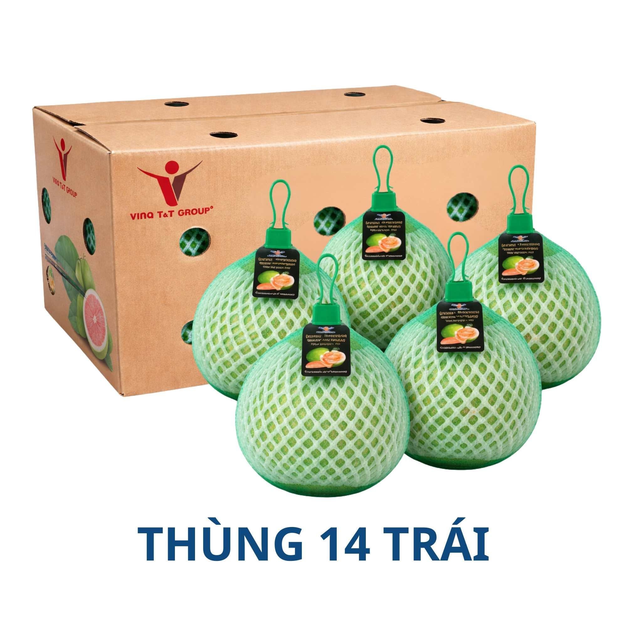  [THÙNG] 14 TRÁI Bưởi da xanh size mini (0.8 g - 1 Kg/trái) 