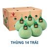 [THÙNG] 14 TRÁI Bưởi da xanh size mini (0.8 g - 1 Kg/trái)