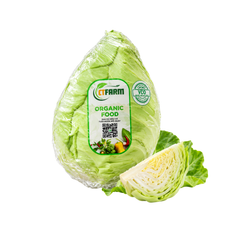 Bắp cải trái tim hữu cơ Ctfarm 500 g