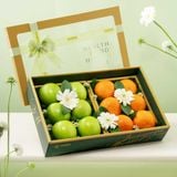  Hộp Quà Táo Và Quýt Tone Xanh Lá Cơ Bản 