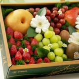  Hộp Quà Trái Cây Tươi Các Loại Tone Xanh Lá Tinh Tế 