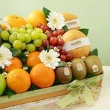  Khay Quà Trái Cây Các Loại Tone Kem Thanh Lịch 