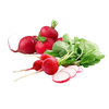 Củ Cải Đỏ Hữu Cơ ( Khay 300g ) - VIỆT HÀ (I0024503)
