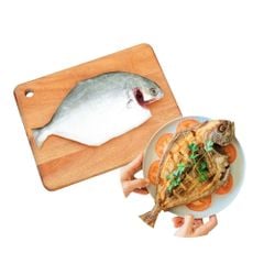[Tươi] Cá chim trắng làm sạch Alo Fish (350G - 500G/Con)