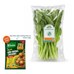Cải ngọt Vietgap Bio Ngon - 300G