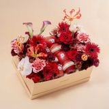  [PRE-ORDER 24H] CẢM ƠN - TÂM GIAO 