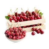  Cherry đỏ Canada size 8.5 - 250G 