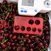 Cherry đỏ Canada