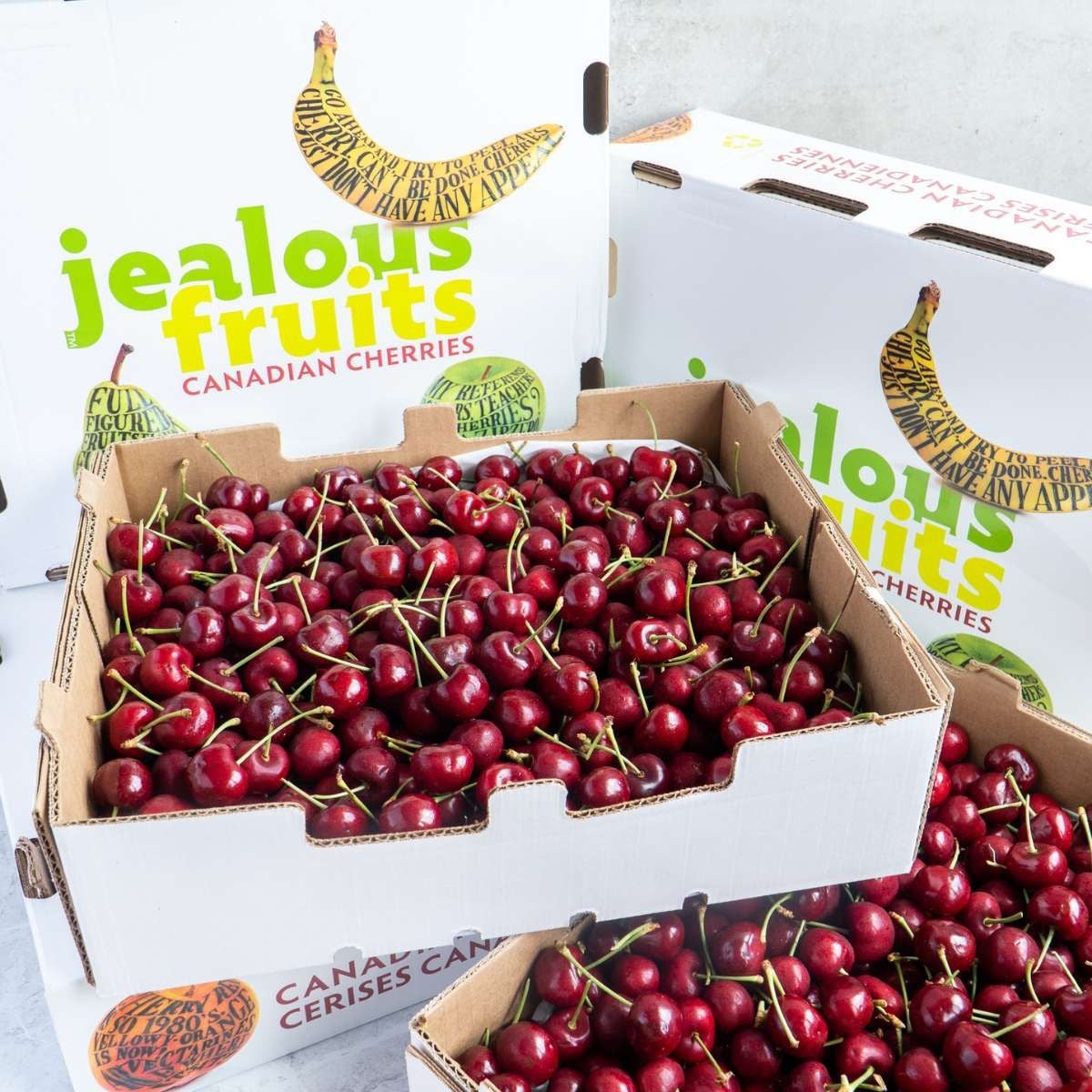  Cherry đỏ Canada size 9.5 (Hộp 200G) 
