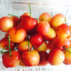 Cherry vàng Mỹ size 10.5